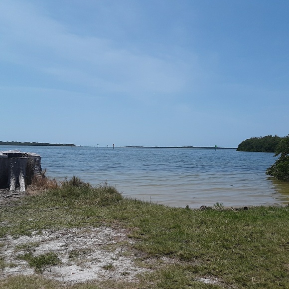 Meet your Posher, Rose - Picture 4 of 12